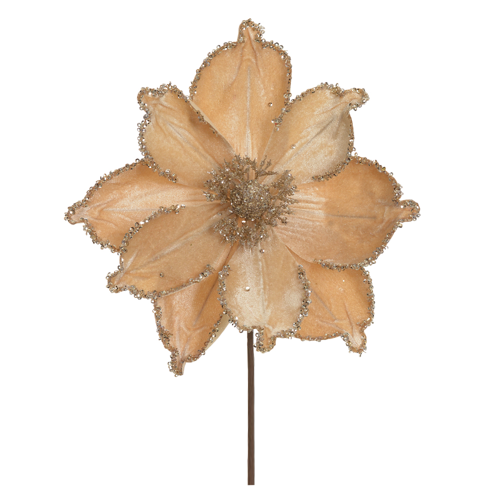 H.MAGNOLIA NATAL AVELUDADO (CHAMPANHE GLITTER CHAMPANHE) 22cm 24d