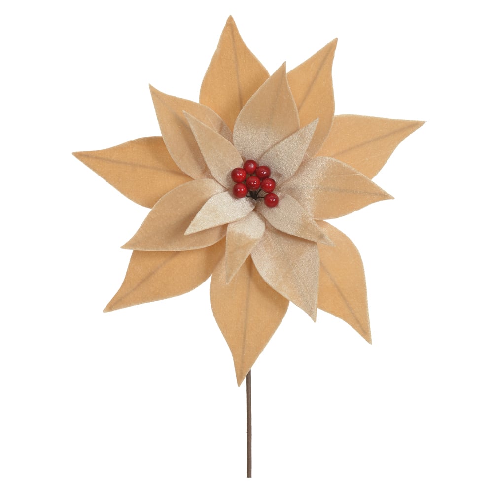 H.BICO PAPAGAIO NATAL AVELUDADO (CHAMPANHE) 25cm 30d