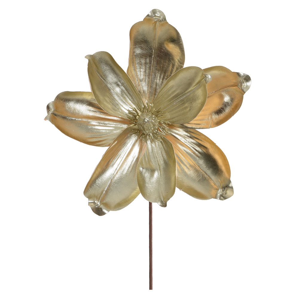 H.MAGNOLIA NATAL (CHAMPANHE) 26cm 22d