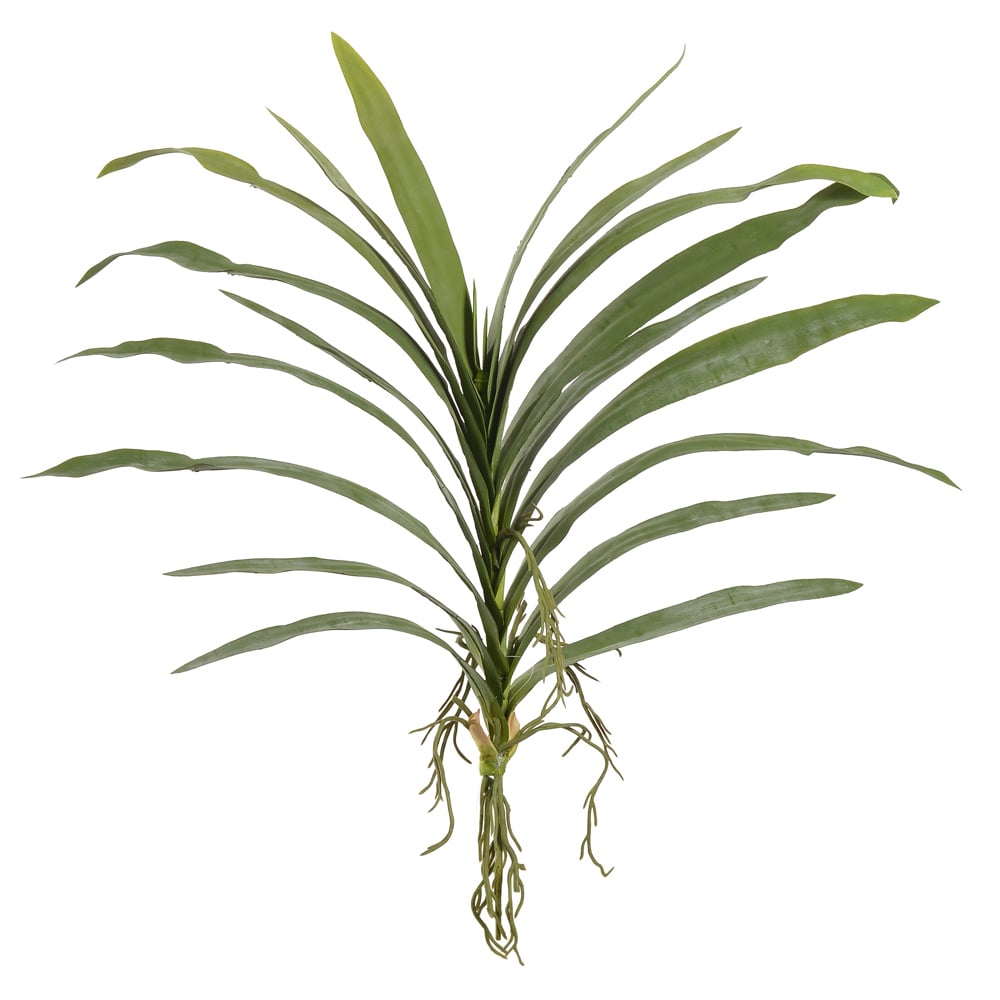 F.FOLHA ORQUIDEA VANDA C/ARAME X18 (VERDE) 72cm