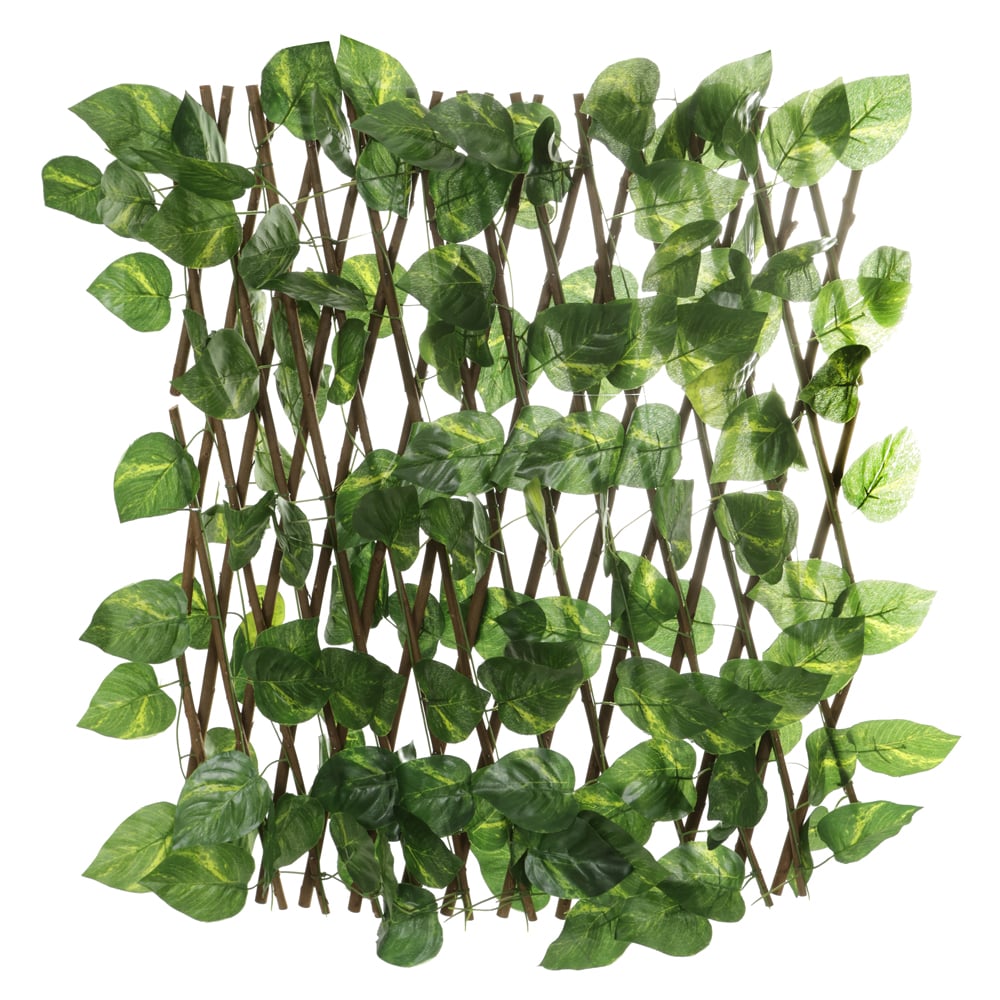 F.JIBOIA CERCA (VERDE) 50cmX1,8m