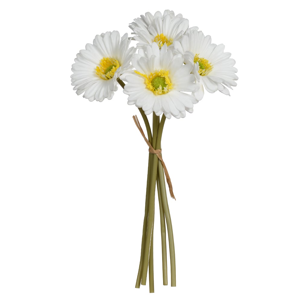 B.GERBERA RAMALHETE C/FITA ESPUMA X5 (BRANCO OUTONO) 29cm