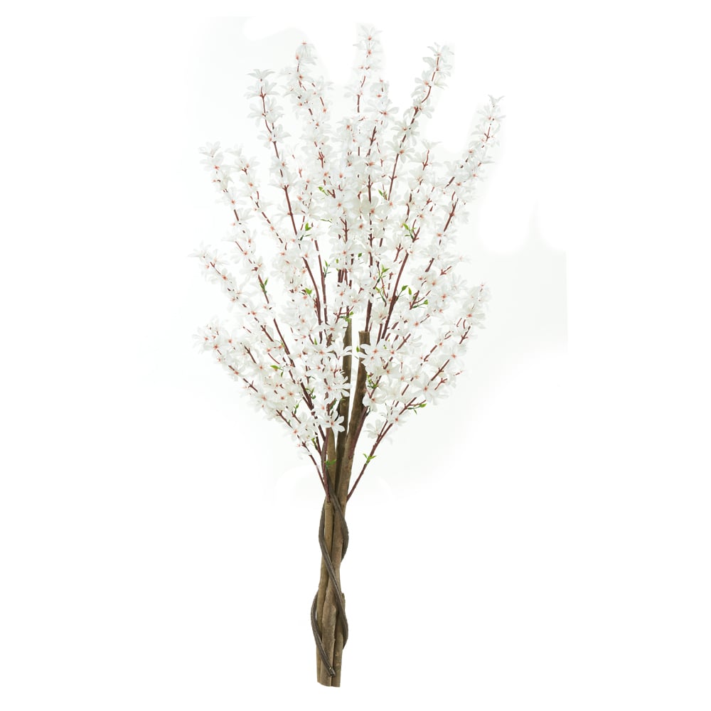 A.FORSITIA X450 (CREME) 1,2m