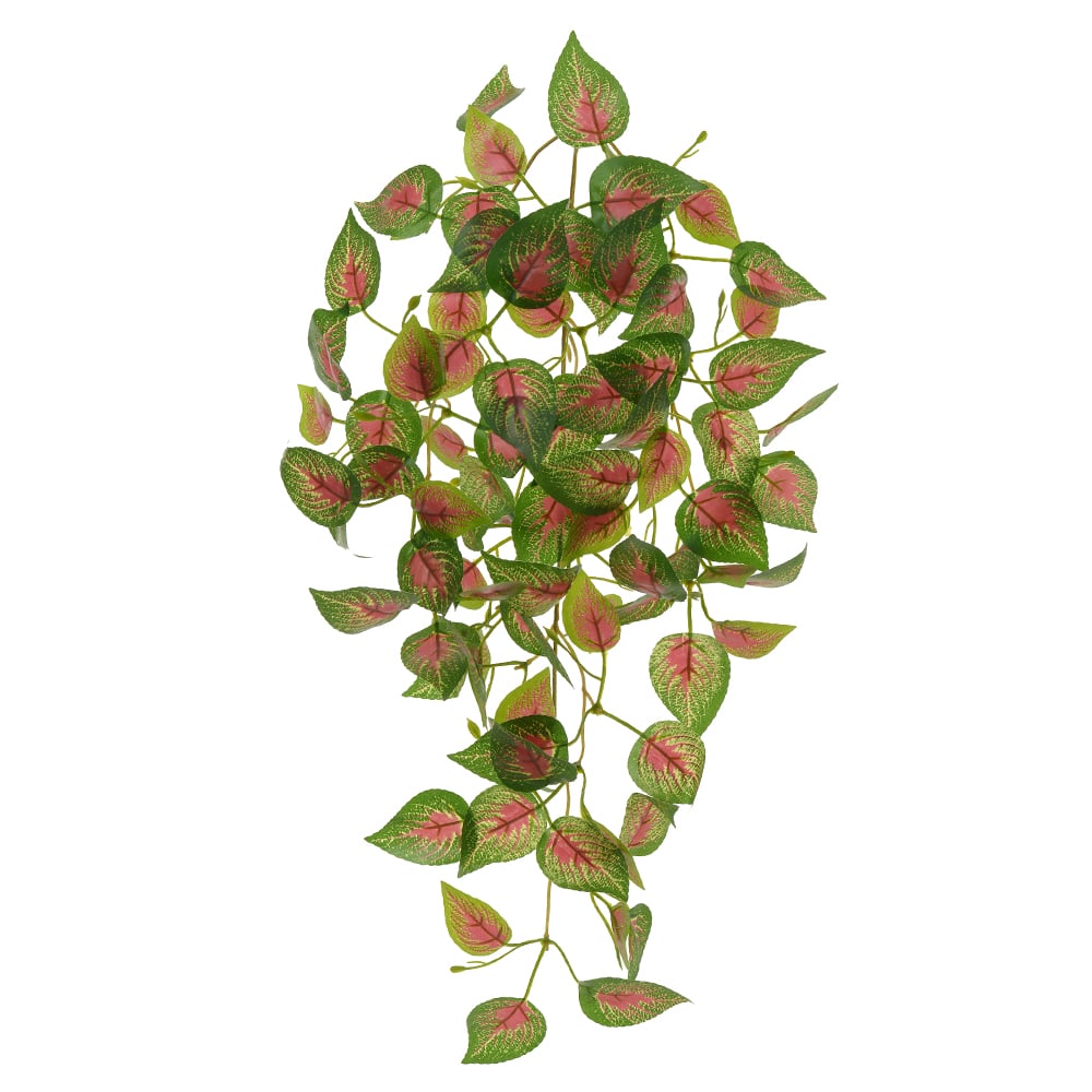 F.COLEUS PENDURAR REAL TOQUE X84 (VERDE VERMELHO) 60cm
