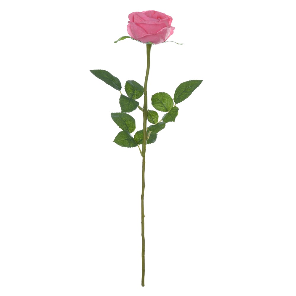 H.ROSA CABBAGE REAL TOQUE C/COAT (ROSA) 60cm