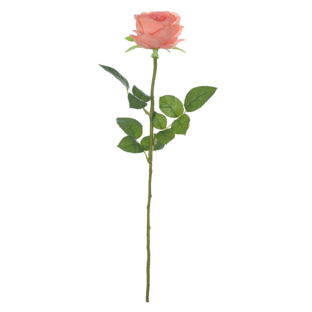 H.ROSA CABBAGE REAL TOQUE C/COAT (PESSEGO) 60cm