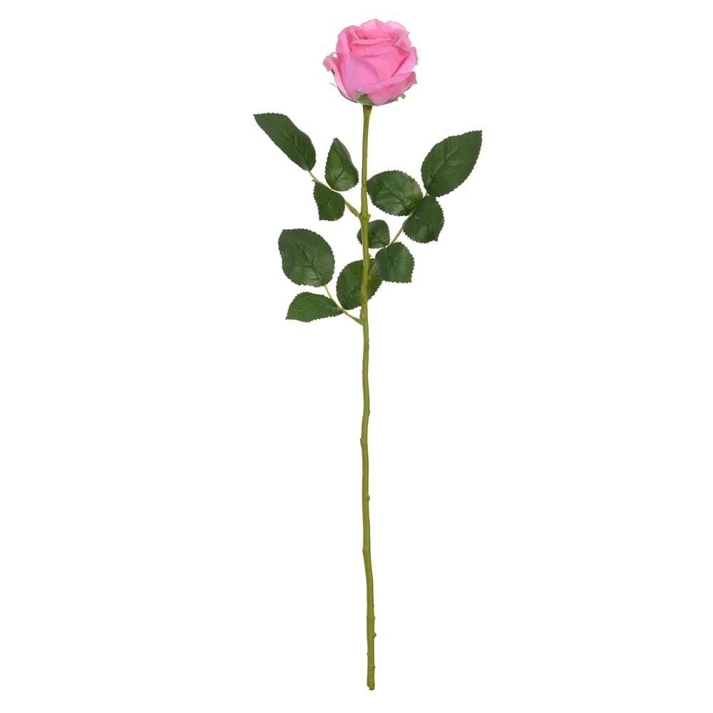 H.ROSA REAL TOQUE C/COAT (ROSA) 60cm
