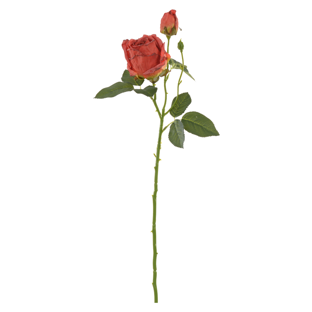 H.ROSA X2 (LARANJA) 54cm