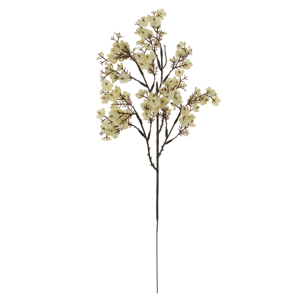 H.JASMIM X96 (CREME) 50cm