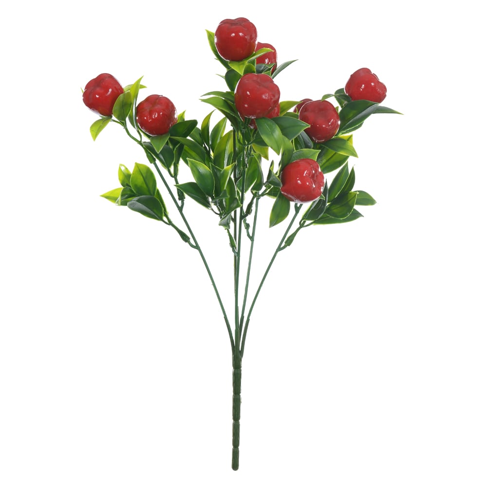 F.ACEROLA X10 (VERMELHO) 30cm