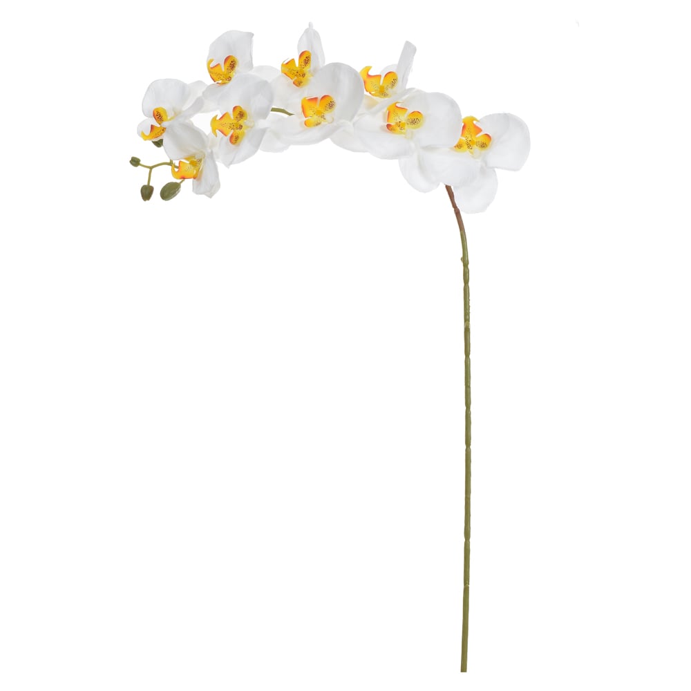 H.ORQUIDEA PHALAENOPSIS X9 (BRANCO) 1,03m