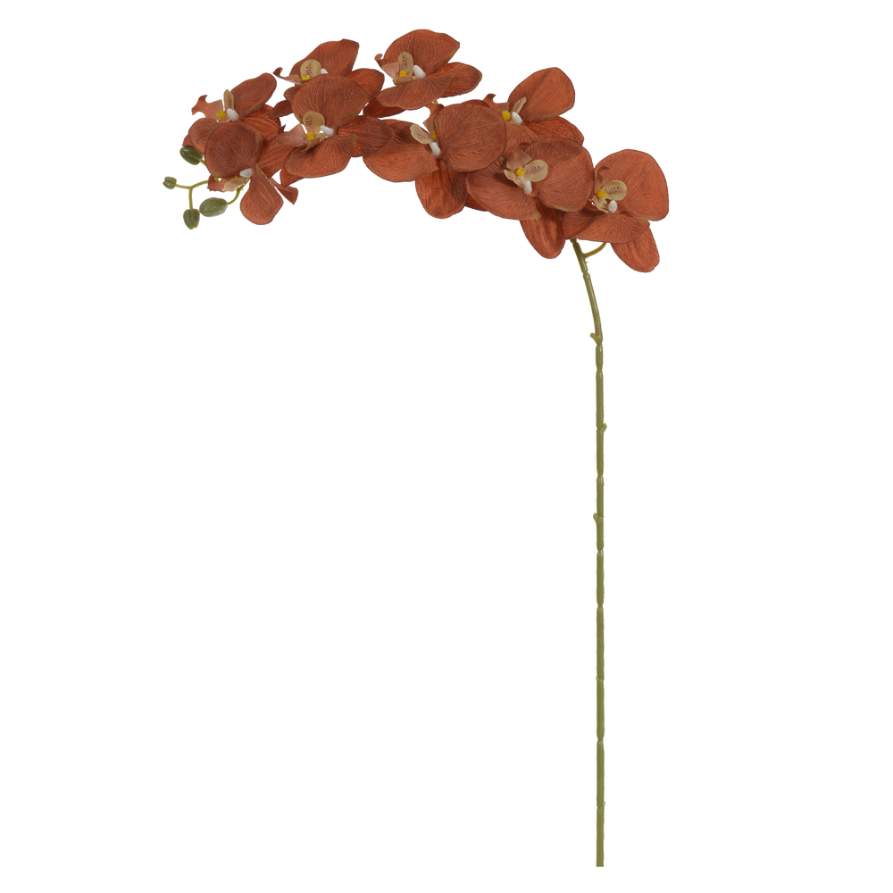 H.ORQUIDEA PHALAENOPSIS X9 (CHOCOLATE) 1,03m