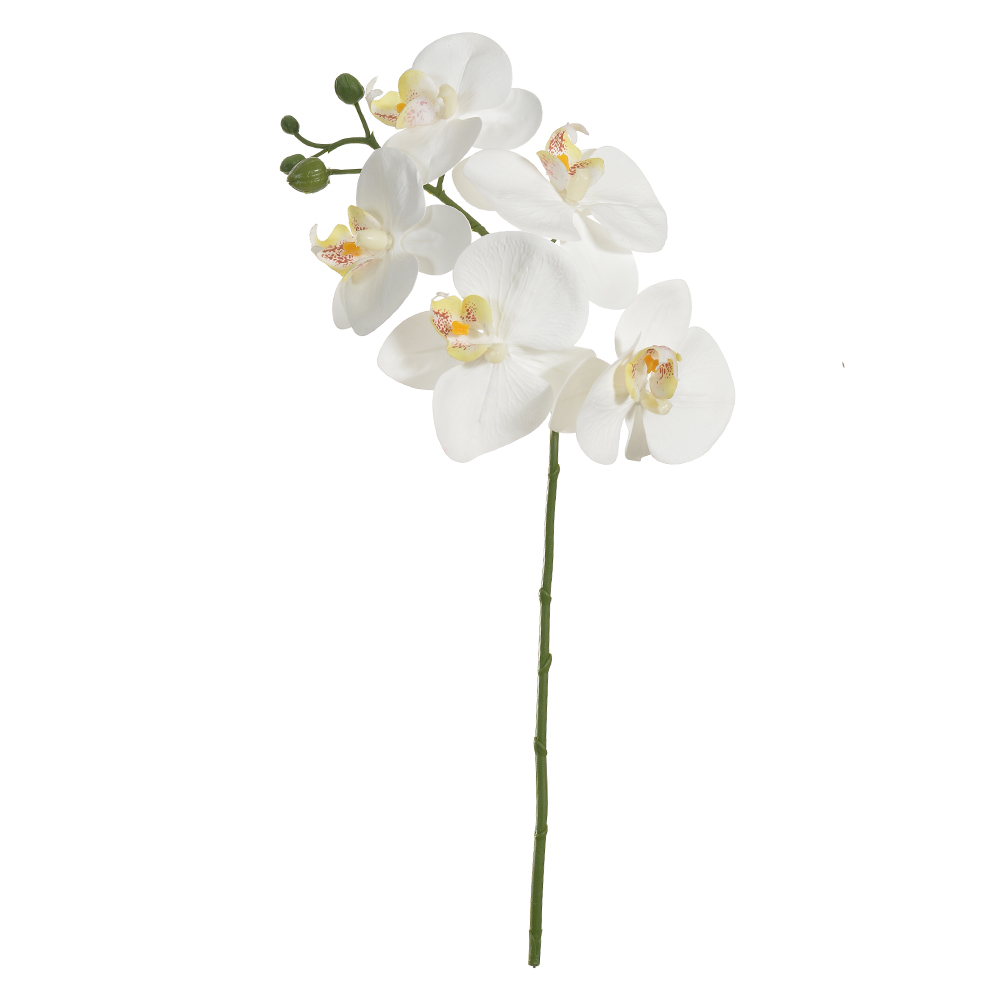 H.ORQUIDEA PHALAENOPSIS REAL TOQUE X5 (BRANCO) 55cm