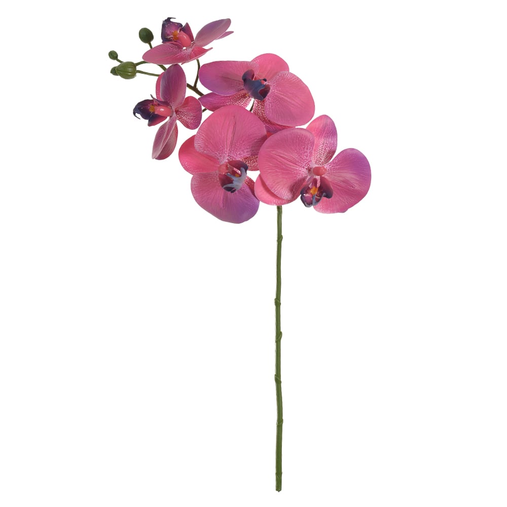 H.ORQUIDEA PHALAENOPSIS REAL TOQUE X5 (ROSA ANTIGO) 55cm