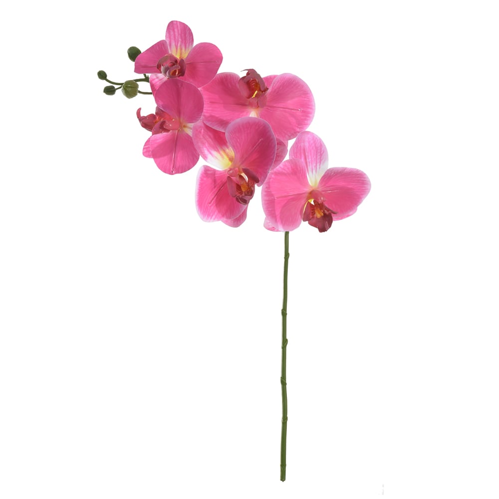 H.ORQUIDEA PHALAENOPSIS REAL TOQUE X5 (ROSA) 55cm