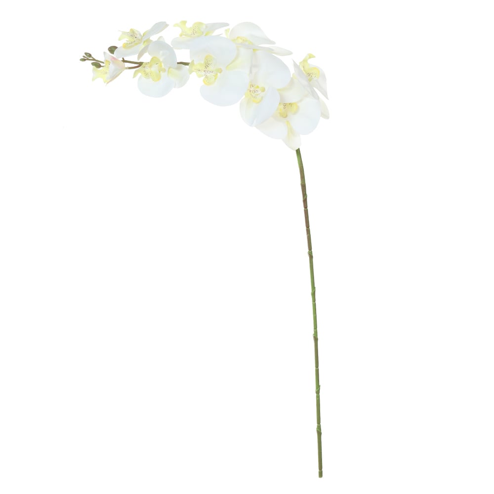 H.ORQUIDEA PHALAENOPSIS REAL TOQUE X9 (BRANCO AMARELO) 96cm