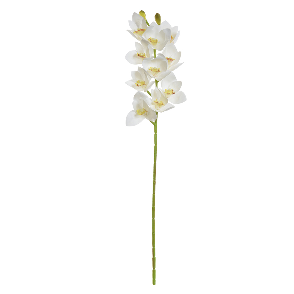 H.ORQUIDEA CYMBIDIUM REAL TOQUE X10 (BRANCO) 73cm
