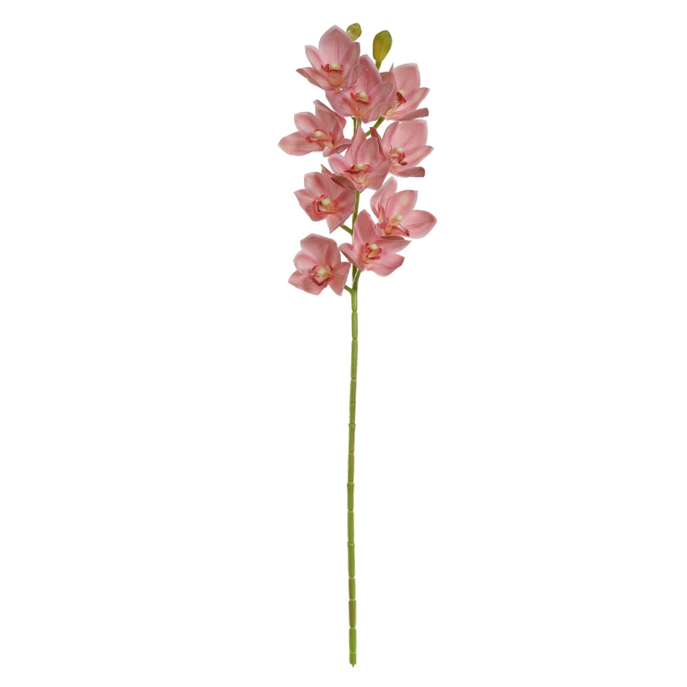 H.ORQUIDEA CYMBIDIUM REAL TOQUE X10 (ROSA) 73cm
