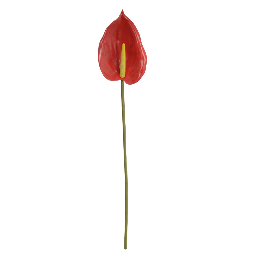 H.ANTURIO REAL TOQUE (VERMELHO) 84cm