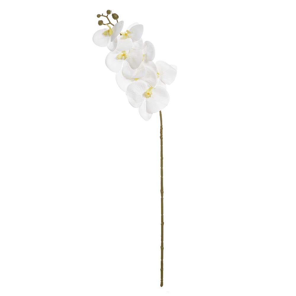 H.ORQUIDEA PHALAENOPSIS REAL TOQUE C/COAT X7 (BRANCO) 76cm