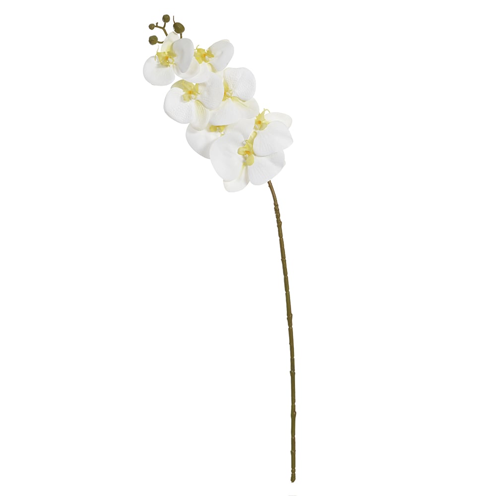 H.ORQUIDEA PHALAENOPSIS REAL TOQUE C/COAT X7 (BRANCO CREME) 76cm