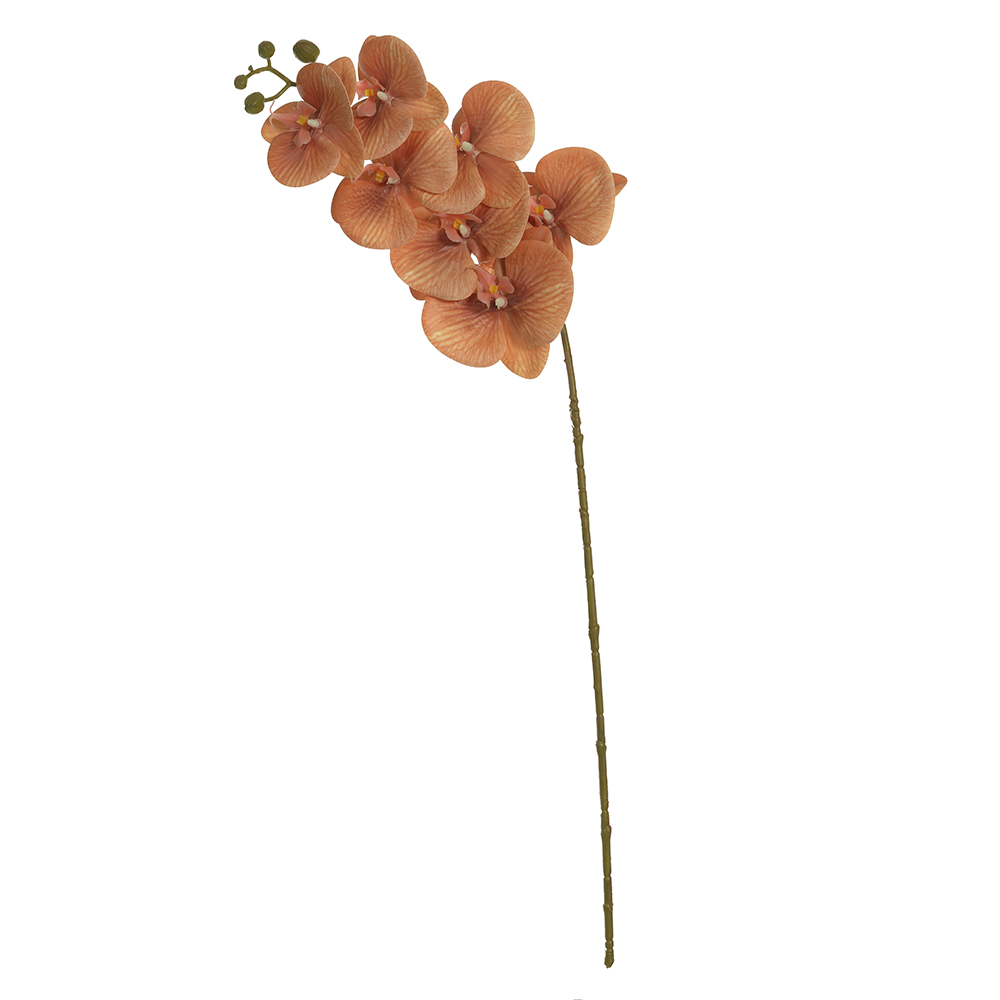 H.ORQUIDEA PHALAENOPSIS REAL TOQUE C/COAT X7 (OCRE) 76cm