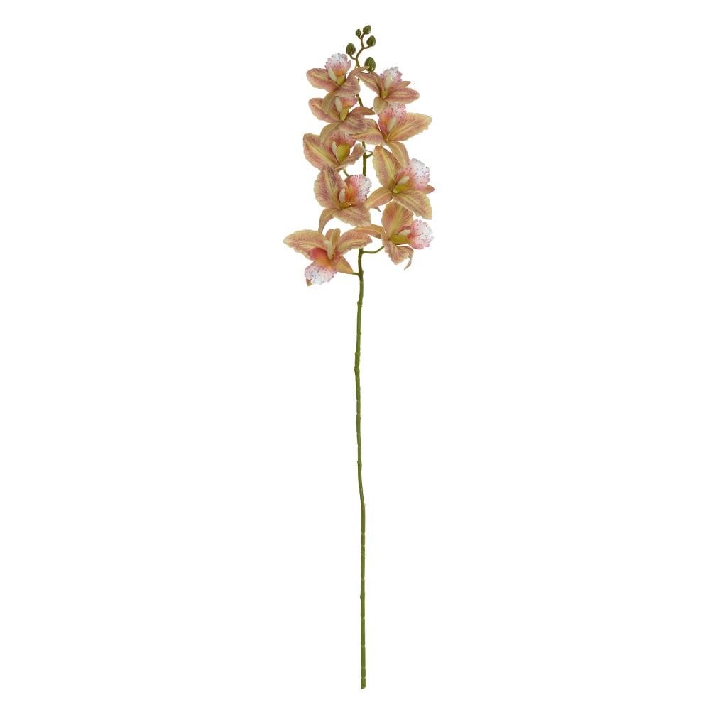 H.ORQUIDEA CATTLEYA REAL TOQUE X9 (CHA) 99cm