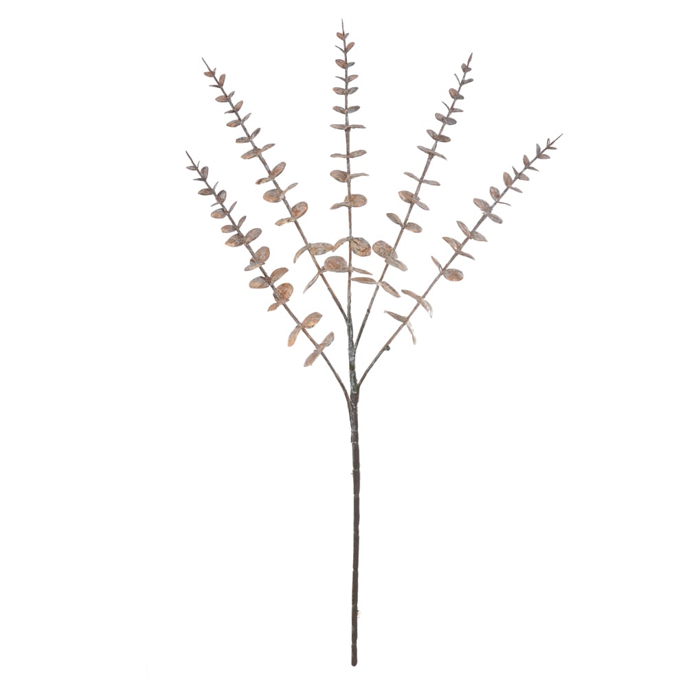 C.GALHO EUCALIPTO PLT X120 (CHA OUTONO) 60cm