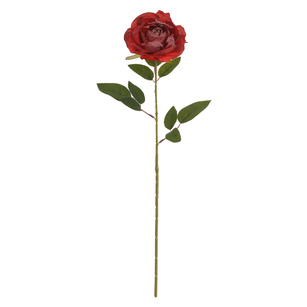 H.ROSA (MARSALA) 65cm