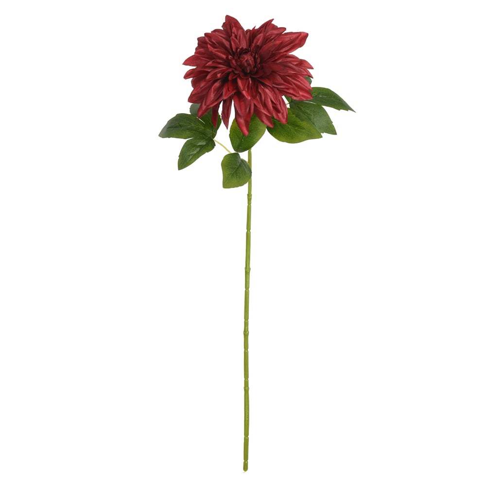 H.DALIA (MARSALA) 65cm