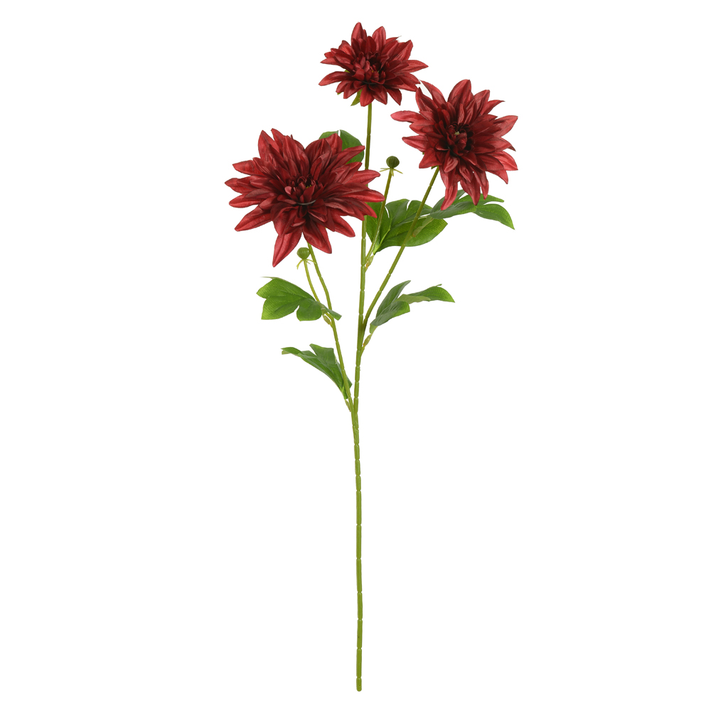 H.DALIA X3 (MARSALA) 68cm