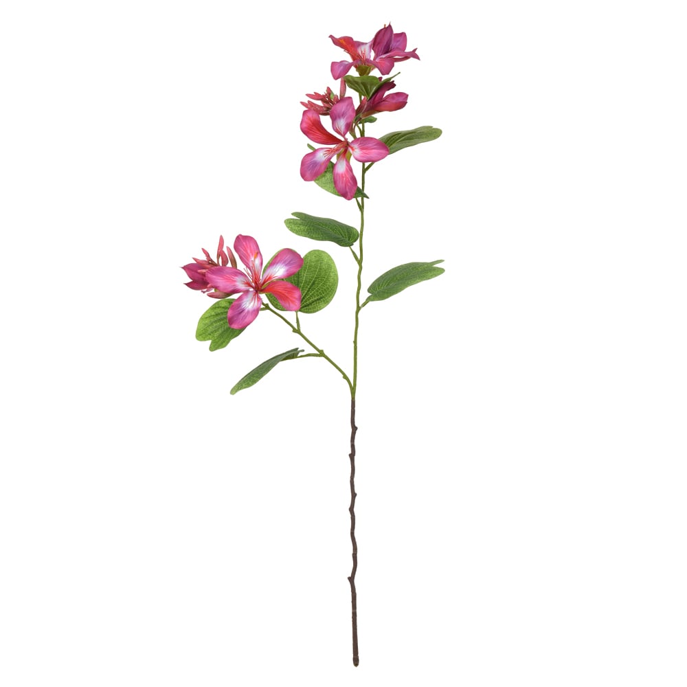 H.PATA DE VACA X6 (ROSA) 86cm