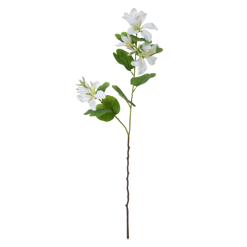 H.PATA DE VACA X6 (BRANCO) 86cm