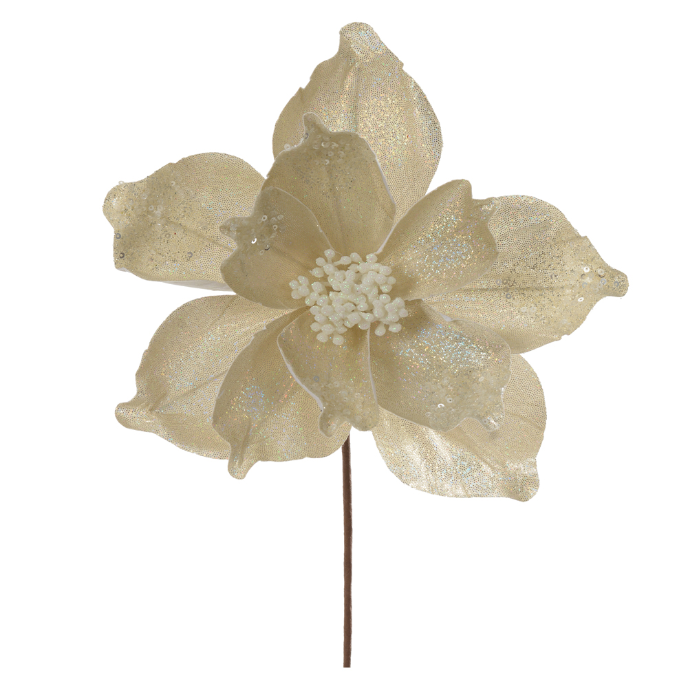 H.MAGNOLIA NATAL AVELUDADO (OFF WHITE) 24cm