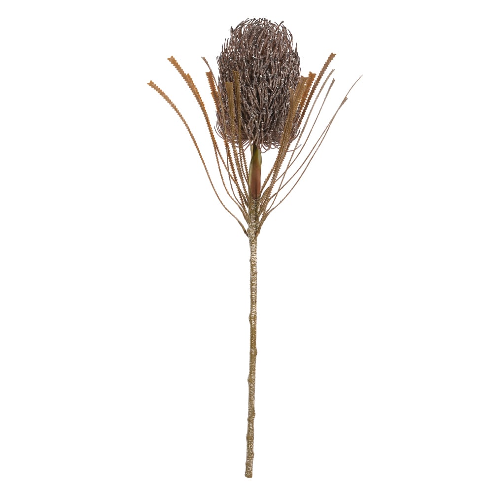 H.PROTEA PLT (MARROM OUTONO) 78cm