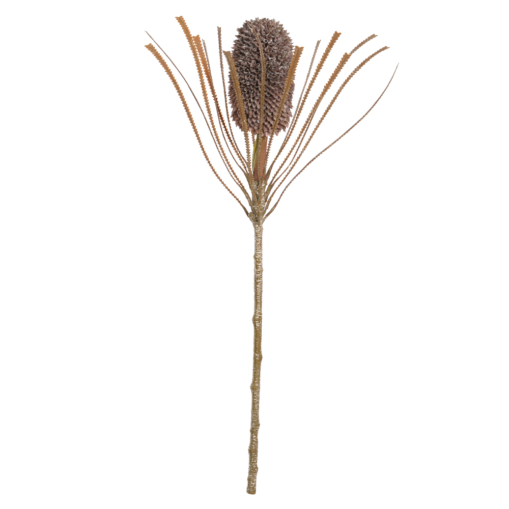 H.PROTEA PLT (MARROM OUTONO) 71cm