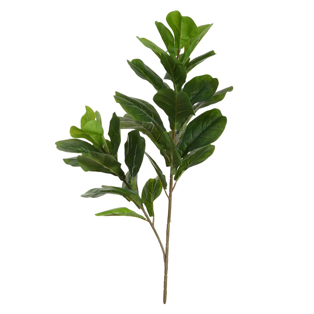 A.FICUS LYRATA REAL TOQUE X34 (VERDE) 90cm