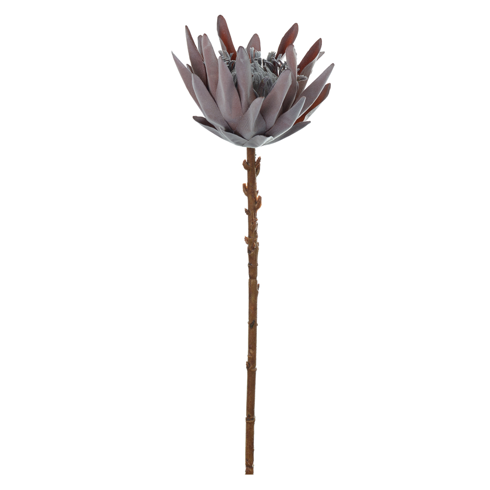 H.PROTEA FLOCKED (MARROM ESCURO OUTONO) 52cm