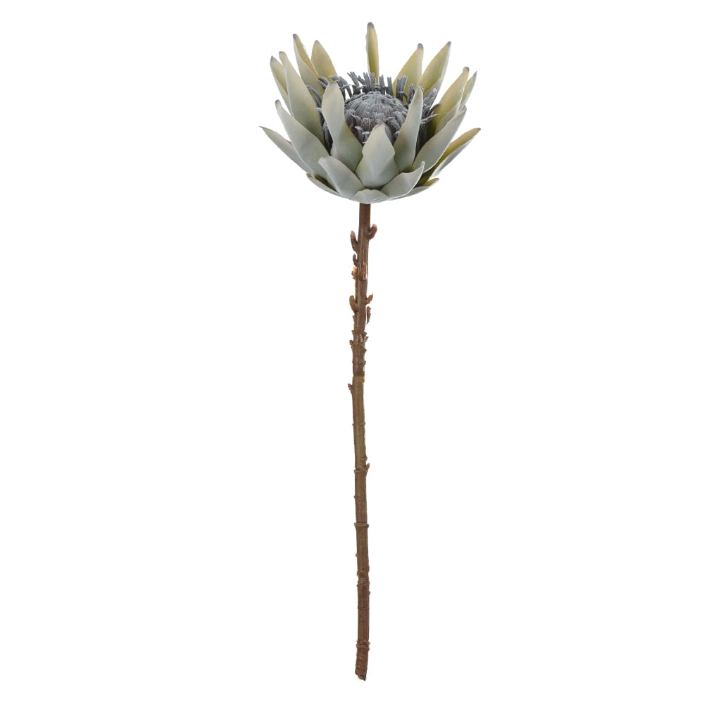 H.PROTEA FLOCKED (VERDE MENTA OUTONO) 52cm