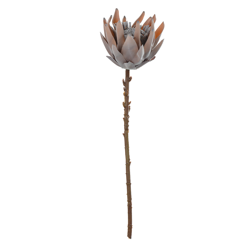 H.PROTEA FLOCKED (MARROM OUTONO) 52cm