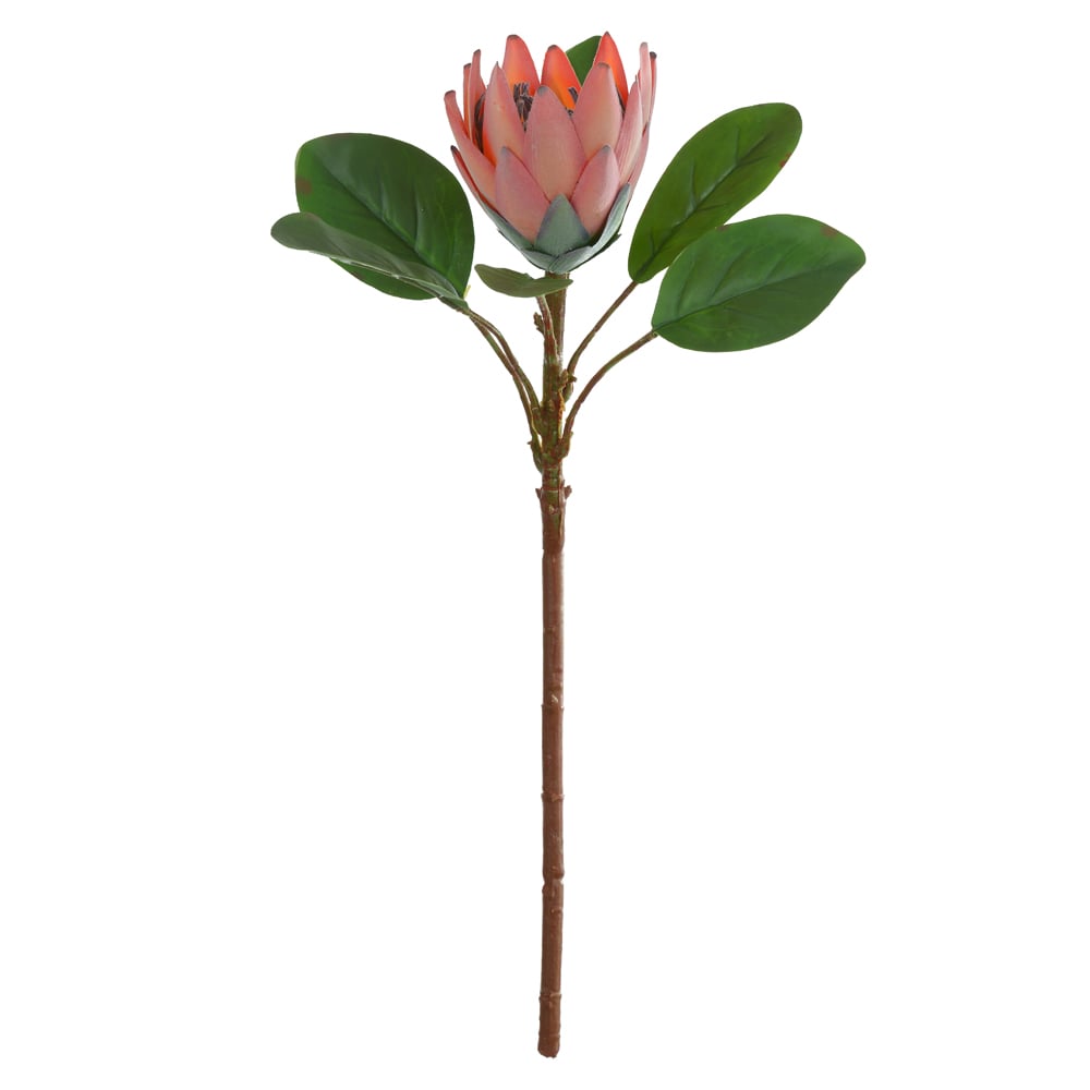 H.PROTEA FLOCKED C/COAT REAL TOQUE (LARANJA) 55cm