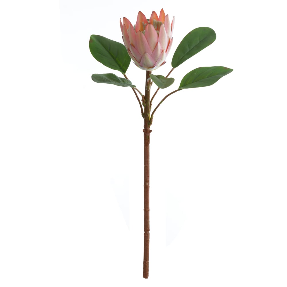 H.PROTEA FLOCKED C/COAT REAL TOQUE (PESSEGO) 55cm