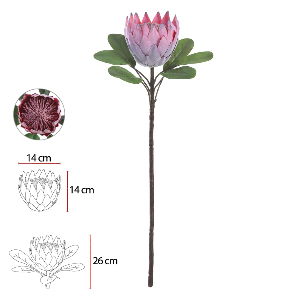H.PROTEA FLOCKED C/COAT REAL TOQUE (VERMELHO) 72cm