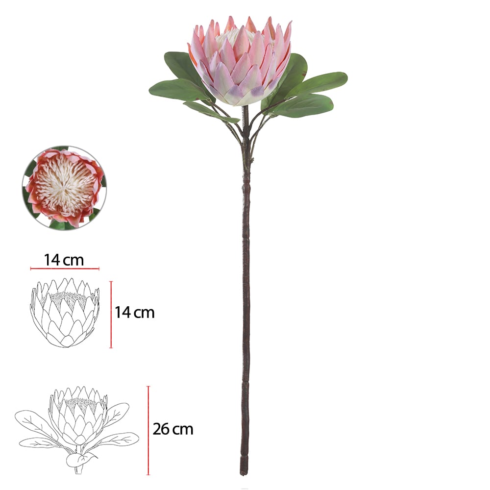 H.PROTEA FLOCKED C/COAT REAL TOQUE (PESSEGO) 72cm
