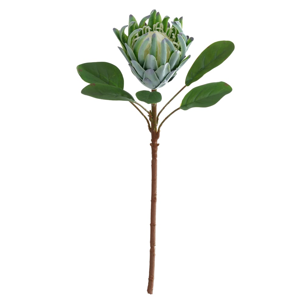 H.PROTEA FLOCKED C/COAT REAL TOQUE (VERDE) 57cm