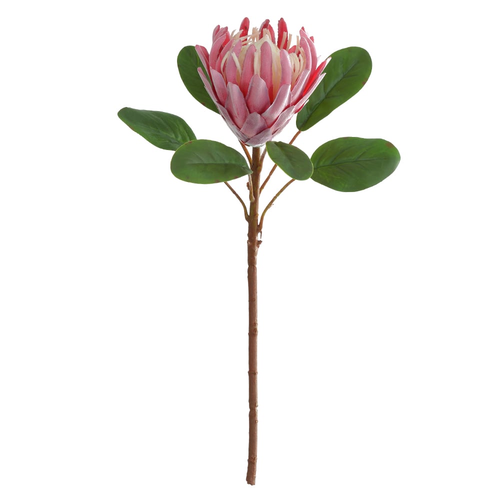 H.PROTEA FLOCKED C/COAT REAL TOQUE (VERMELHO) 57cm