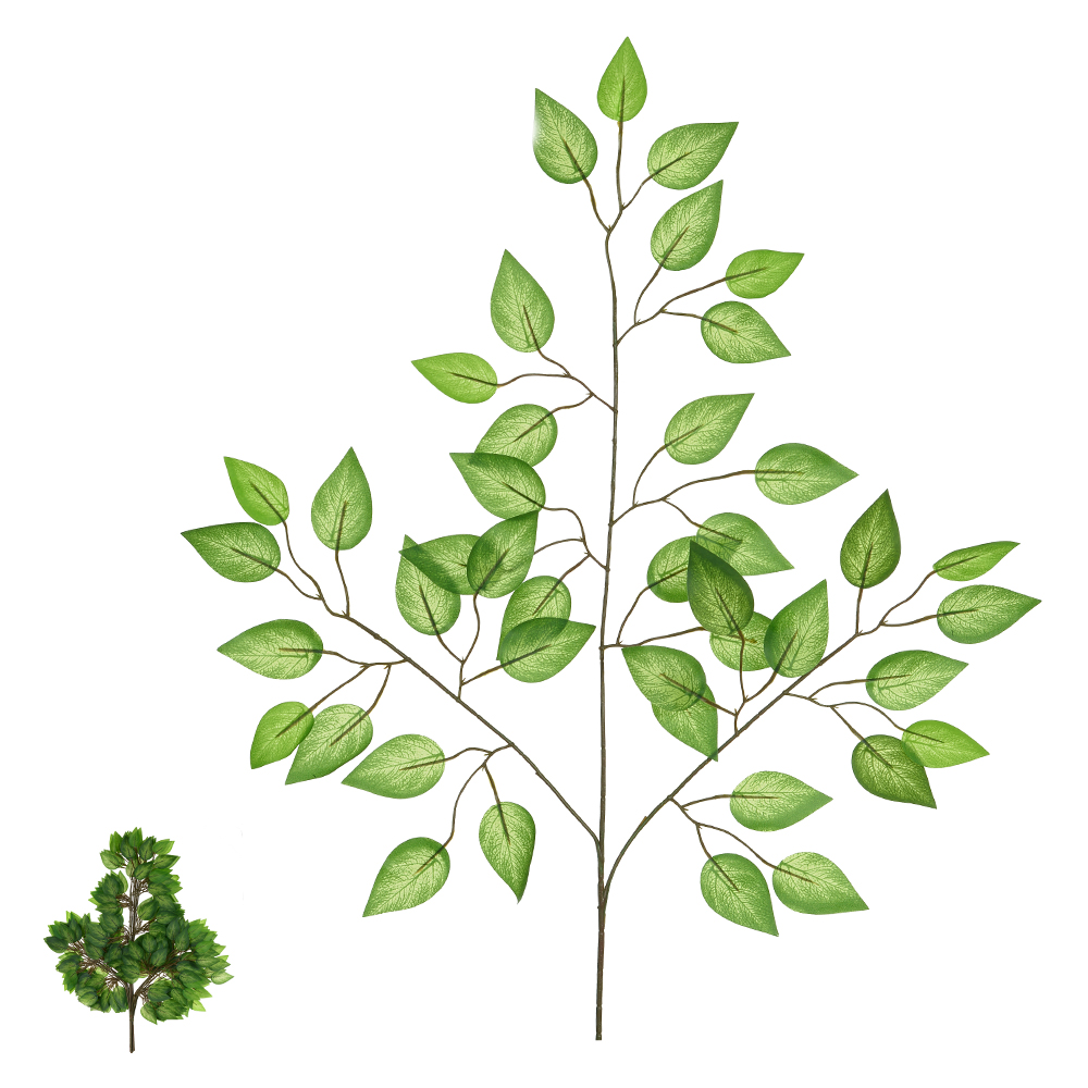 C.FICUS REAL TOQUE X42 (VERDE 2T) 63cm