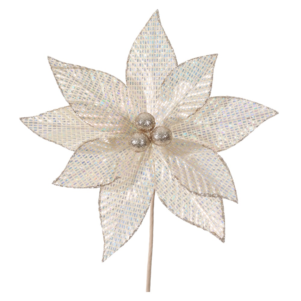 H.BICO DE PAPAGAIO NATAL (IRIDESCENTE) 25cm 26d 9P
