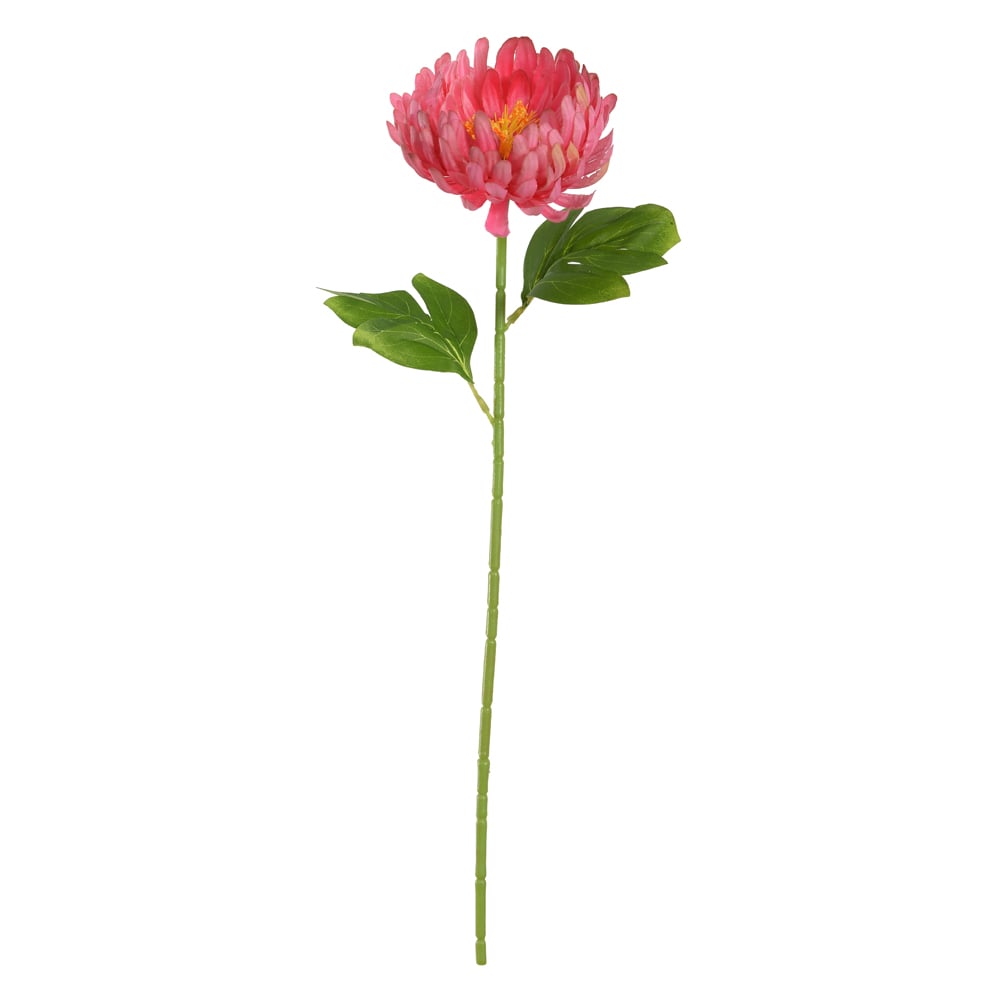 H.CRISANTEMO (ROSA) 54cm