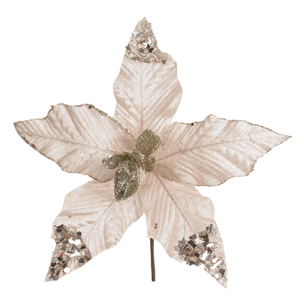 H.BICO DE PAPAGAIO NATAL AVELUDADO (CHAMPANHE) 26cm 26d
